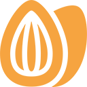 Dry Fruits Icon